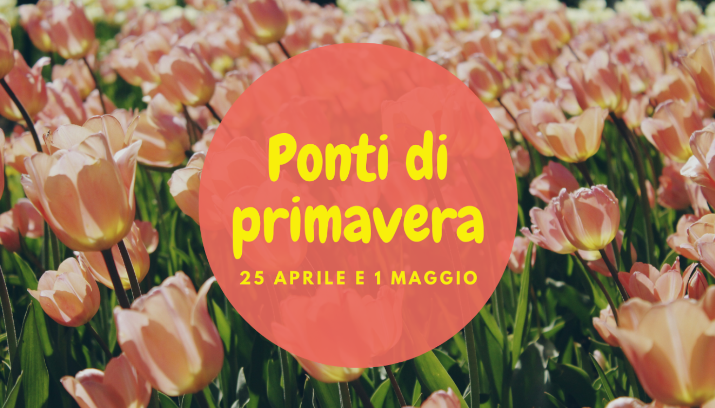 media.ponti di primavera